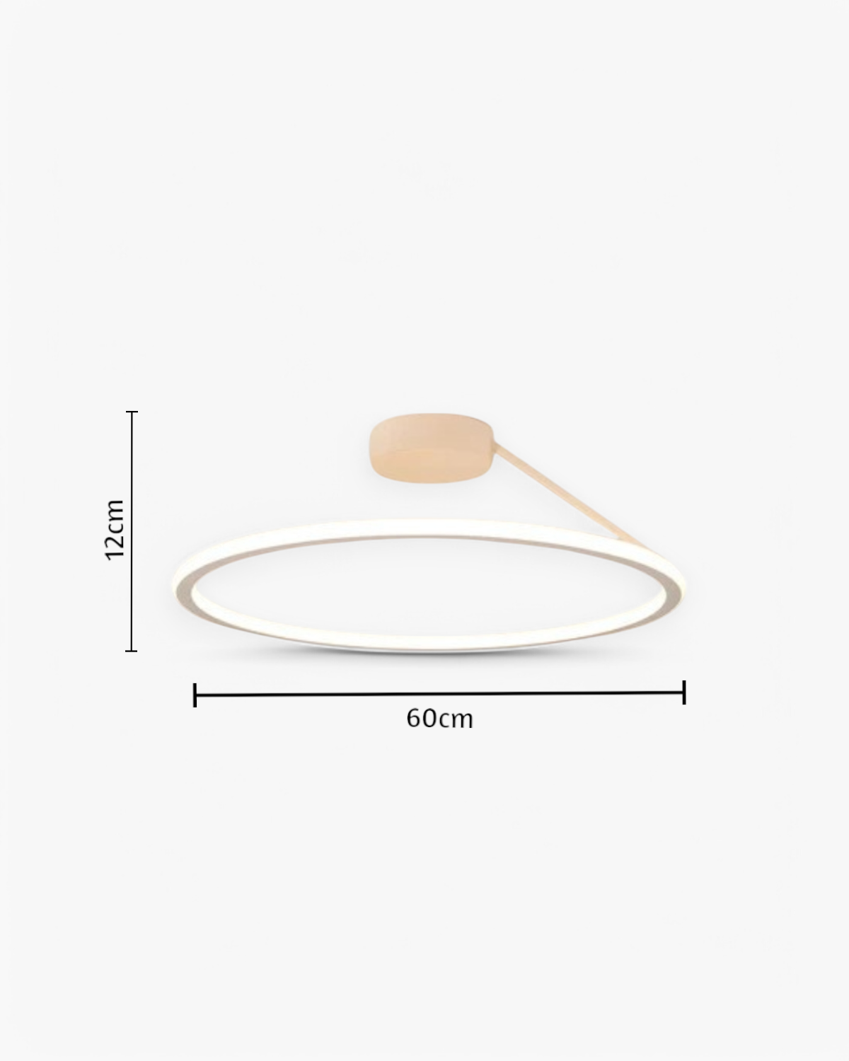 The Elegant Halo