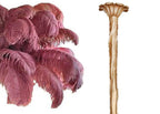 Ostrich Feather Chandeliers