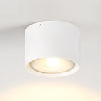 Nordic Cylinder LED Flush Mount Ceiling Light