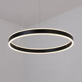 Black/Brown Ring Ceiling Pendant Contemporary 2/3/4 Lights Acrylic LED Chandelier in Warm/White Light