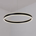 Black/Brown Ring Ceiling Pendant Contemporary 2/3/4 Lights Acrylic LED Chandelier in Warm/White Light
