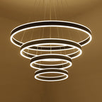 Black/Brown Ring Ceiling Pendant Contemporary 2/3/4 Lights Acrylic LED Chandelier in Warm/White Light