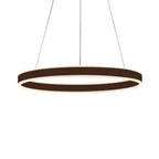 Black/Brown Ring Ceiling Pendant Contemporary 2/3/4 Lights Acrylic LED Chandelier in Warm/White Light