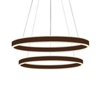 Black/Brown Ring Ceiling Pendant Contemporary 2/3/4 Lights Acrylic LED Chandelier in Warm/White Light