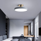 Loma Flush Mount Ceiling Light