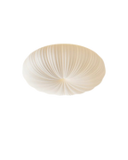 The Celestial Halo