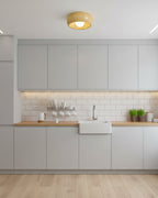 Zuwa Ceiling Light