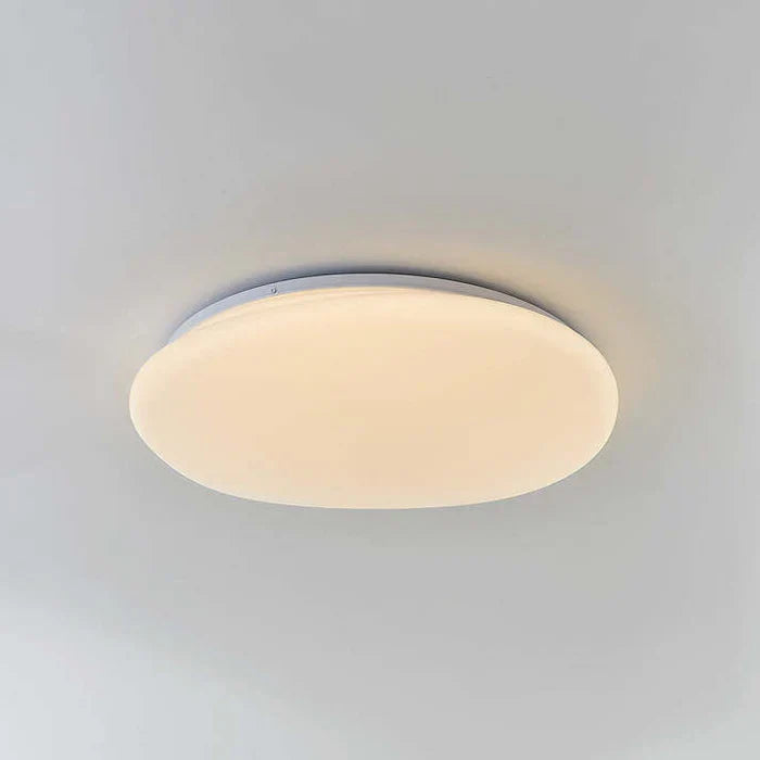 Organic LED Ceiling Lamp Natural Stone Shape