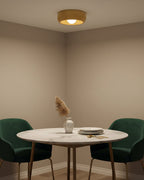 Zuwa Ceiling Light