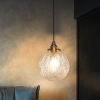 Colonial Global Pendant Light Fixture 1-Head Clear/Smoke Gray Glass Hanging Lamp Kit with Feather Design