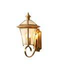 The Golden Light