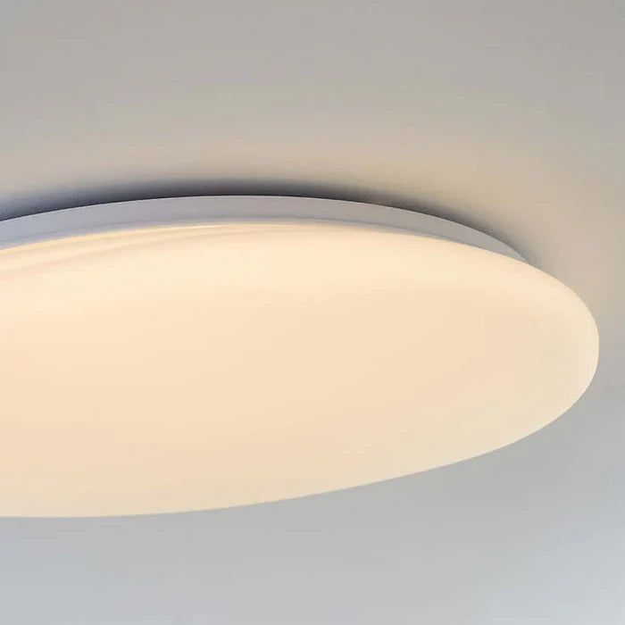 Organic LED Ceiling Lamp Natural Stone Shape