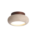 The Enlightened Dream