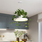 Macaron Round Hanging Light Acrylic LED Pendant Lighting Fixture in Black/Grey/White with Top Plant Pot