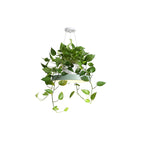 Macaron Round Hanging Light Acrylic LED Pendant Lighting Fixture in Black/Grey/White with Top Plant Pot