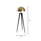 Linear/Capsule/Arch Floor Light Designer Metal Single-Bulb Living Room Standing Lamp in Black