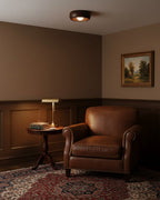Zuwa Ceiling Light