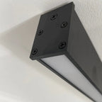 Solin Linear Black Ceiling Light/Wall Light