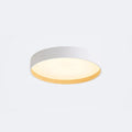 Arisha Modern LED Ceiling Light Black Metal Dining/Living Room