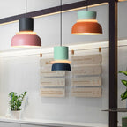 Nordic Zinc Alloy Dual-tone Dome Pendant Light LED 1-light