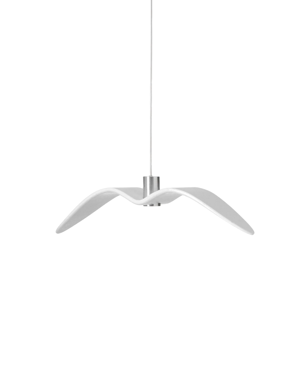 The Night Bird