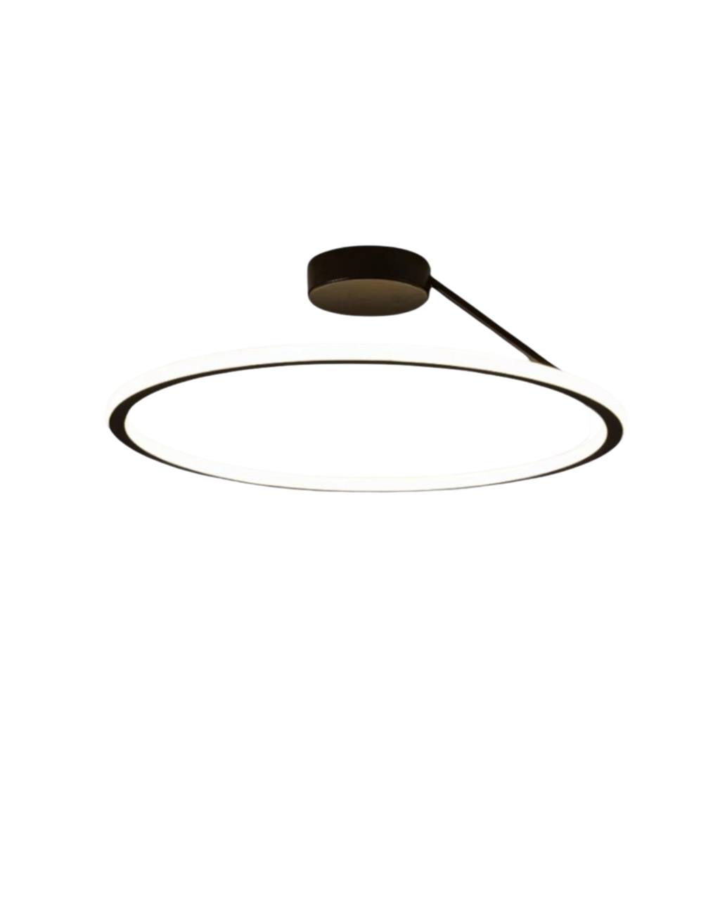 The Elegant Halo