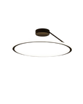 The Elegant Halo