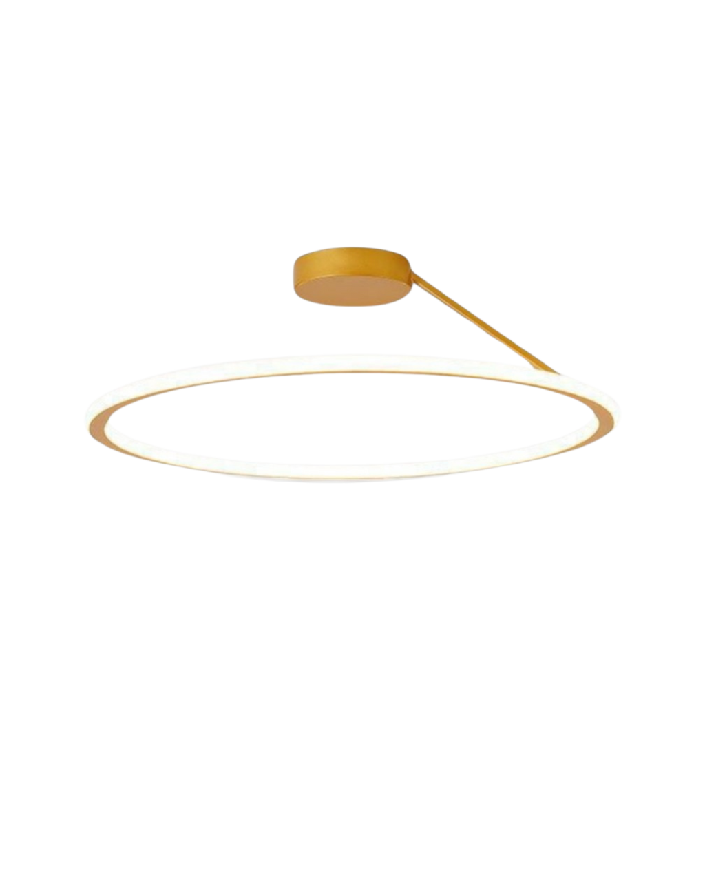 The Elegant Halo