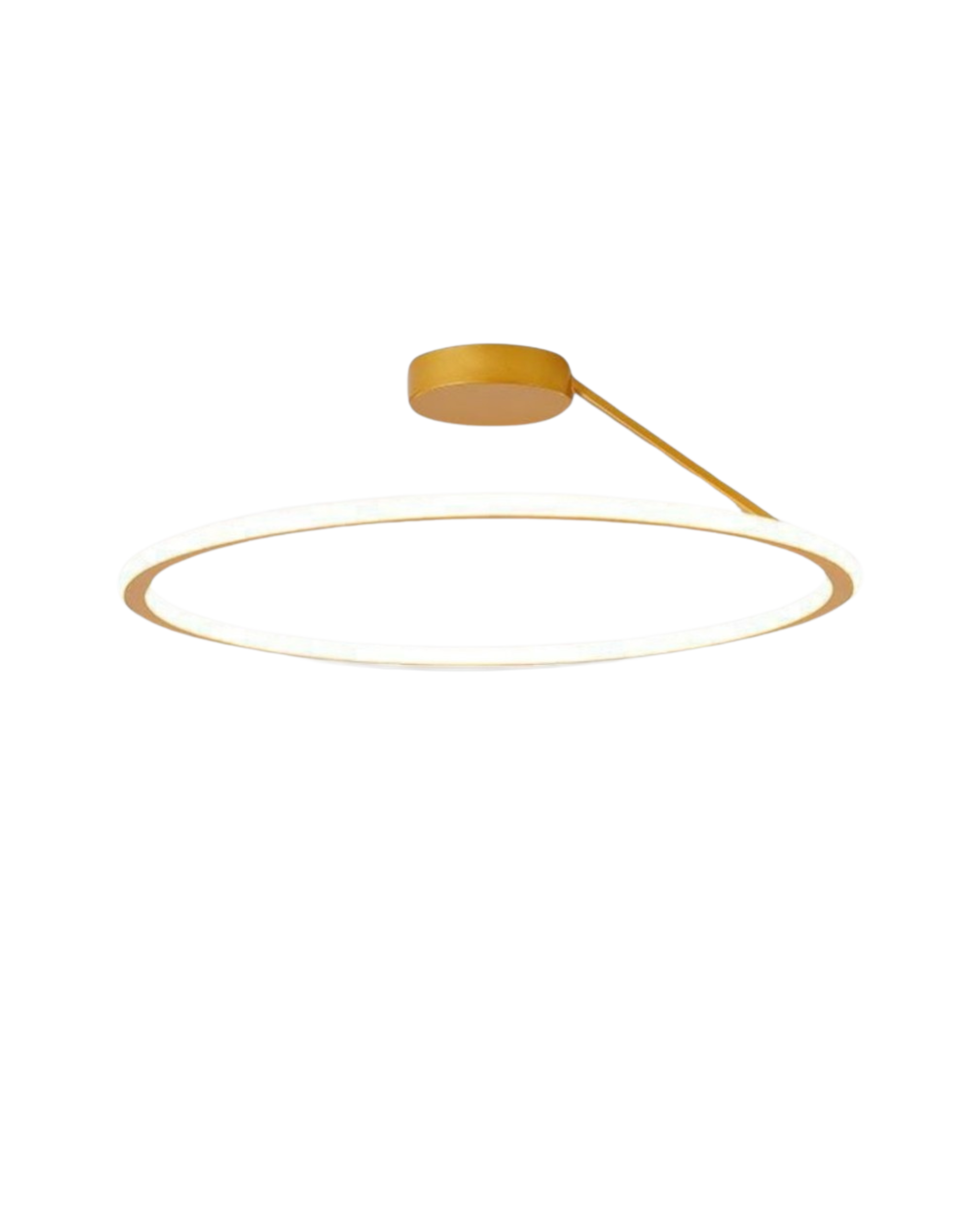 The Elegant Halo