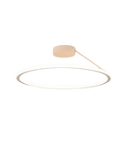 The Elegant Halo