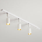Nordic Style Tubular LED Track Lamp Metallic Living Room Spotlight Semi Flush Mount Lighting