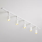 Nordic Style Tubular LED Track Lamp Metallic Living Room Spotlight Semi Flush Mount Lighting