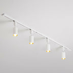 Nordic Style Tubular LED Track Lamp Metallic Living Room Spotlight Semi Flush Mount Lighting