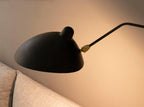 Designer wall lamp with double arm – adjustable wall light for living room, office, or bedroom