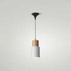 Indoor Nordic Pendant Light Modern Simple Creative Single Pendant Light for Restaurant Coffee Shop