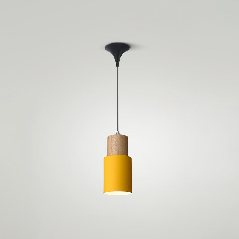Indoor Nordic Pendant Light Modern Simple Creative Single Pendant Light for Restaurant Coffee Shop