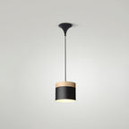 Indoor Nordic Pendant Light Modern Simple Creative Single Pendant Light for Restaurant Coffee Shop