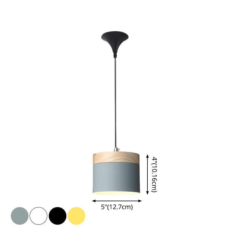 Indoor Nordic Pendant Light Modern Simple Creative Single Pendant Light for Restaurant Coffee Shop