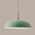 Dome Dining Room Drop Pendant Modern Style Metal 1 Light Hanging Ceiling Light with Wooden Top