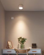 Cylinder Flush Mount Ceiling Fixture Nordic Style LED Metal Flush Ceiling Light Fixture