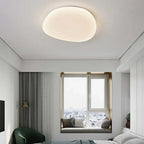 Organic LED Ceiling Lamp Natural Stone Shape