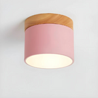 Vesta - Vintage LED Ceiling Lamp