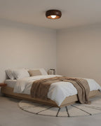Zuwa Ceiling Light