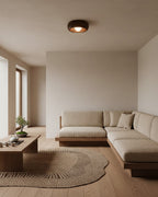 Zuwa Ceiling Light