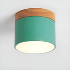 Vesta - Vintage LED Ceiling Lamp