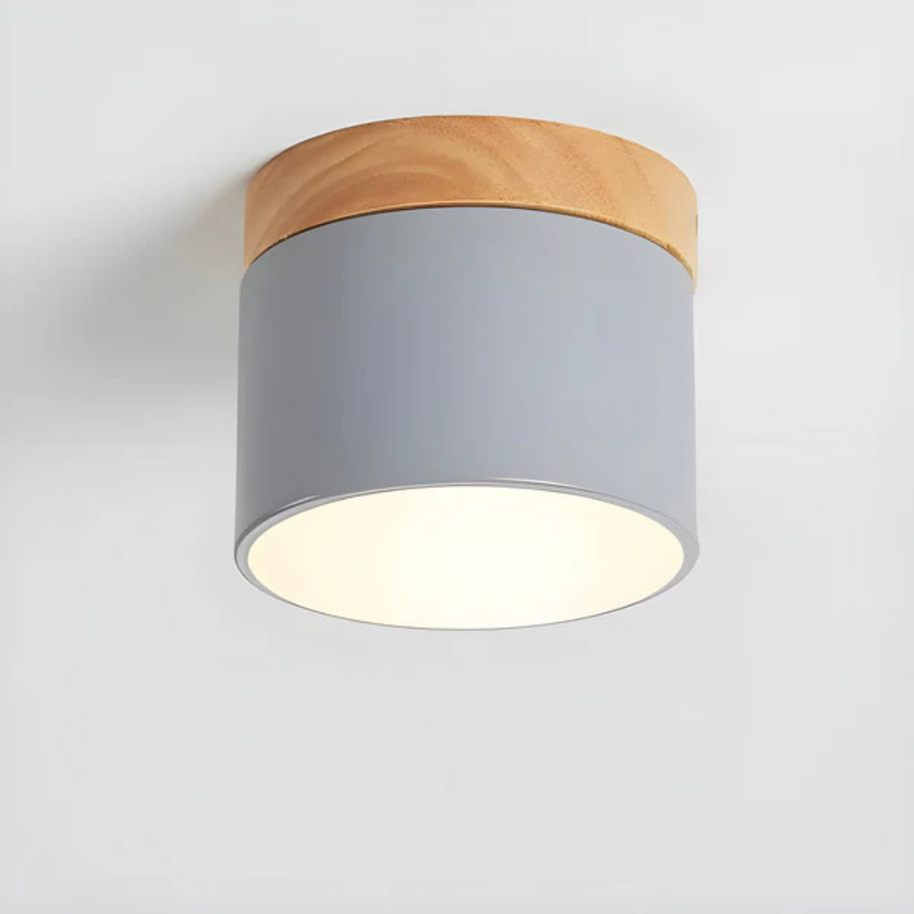 Vesta - Vintage LED Ceiling Lamp