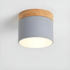 Vesta - Vintage LED Ceiling Lamp
