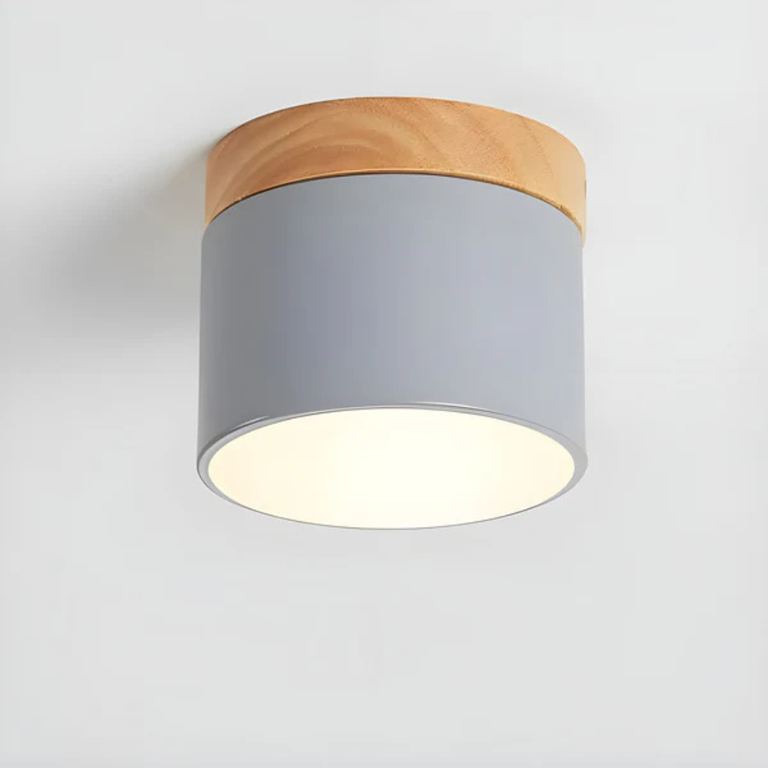 Vesta - Vintage LED Ceiling Lamp
