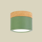 Bathroom Hallway Round Flush Mount Light Acrylic Macaron Loft Small Green/Grey/White Ceiling Lamp