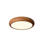The Circle of Light